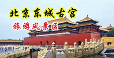 大鸡巴玩女主播小骚逼视频中国北京-东城古宫旅游风景区